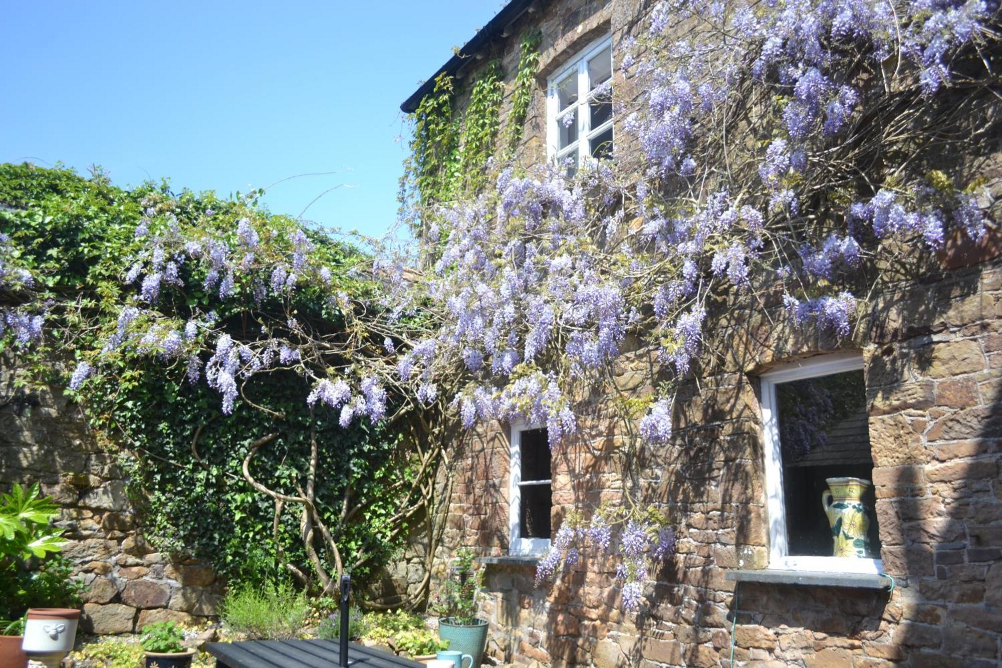 הוילה Hatherleigh The Old Police Station מראה חיצוני תמונה